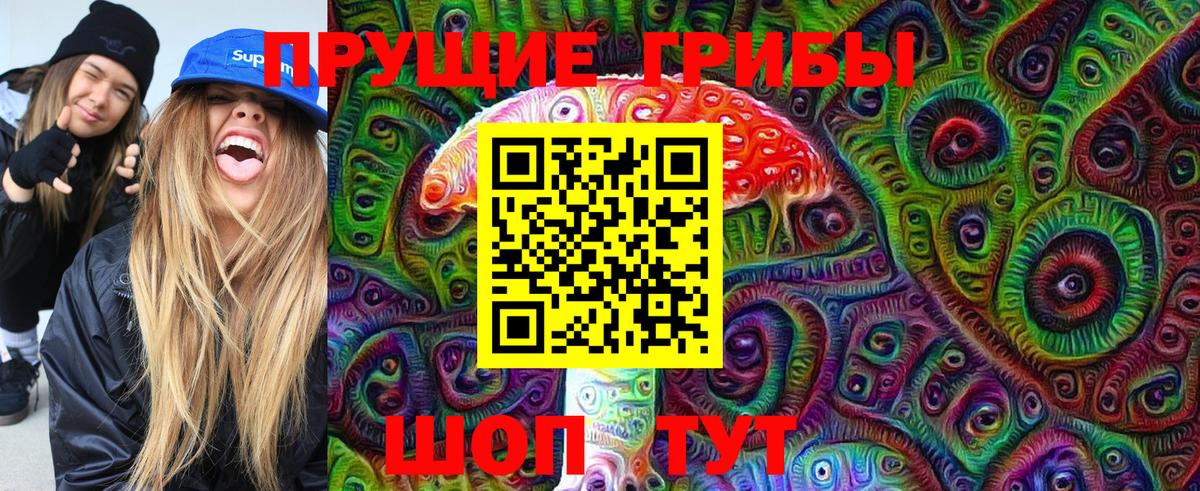 Ногинск  магазин продажи наркотиков  Вход с VPN  Псилоцибиновые грибы мухоморы 