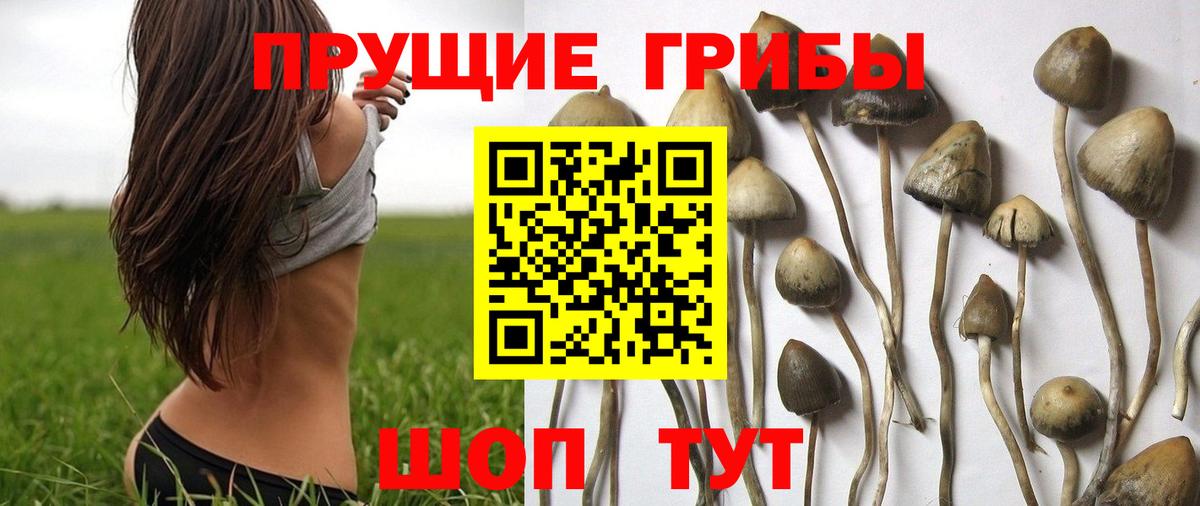 Галлюциногенные грибы MAGIC MUSHROOMS Ногинск